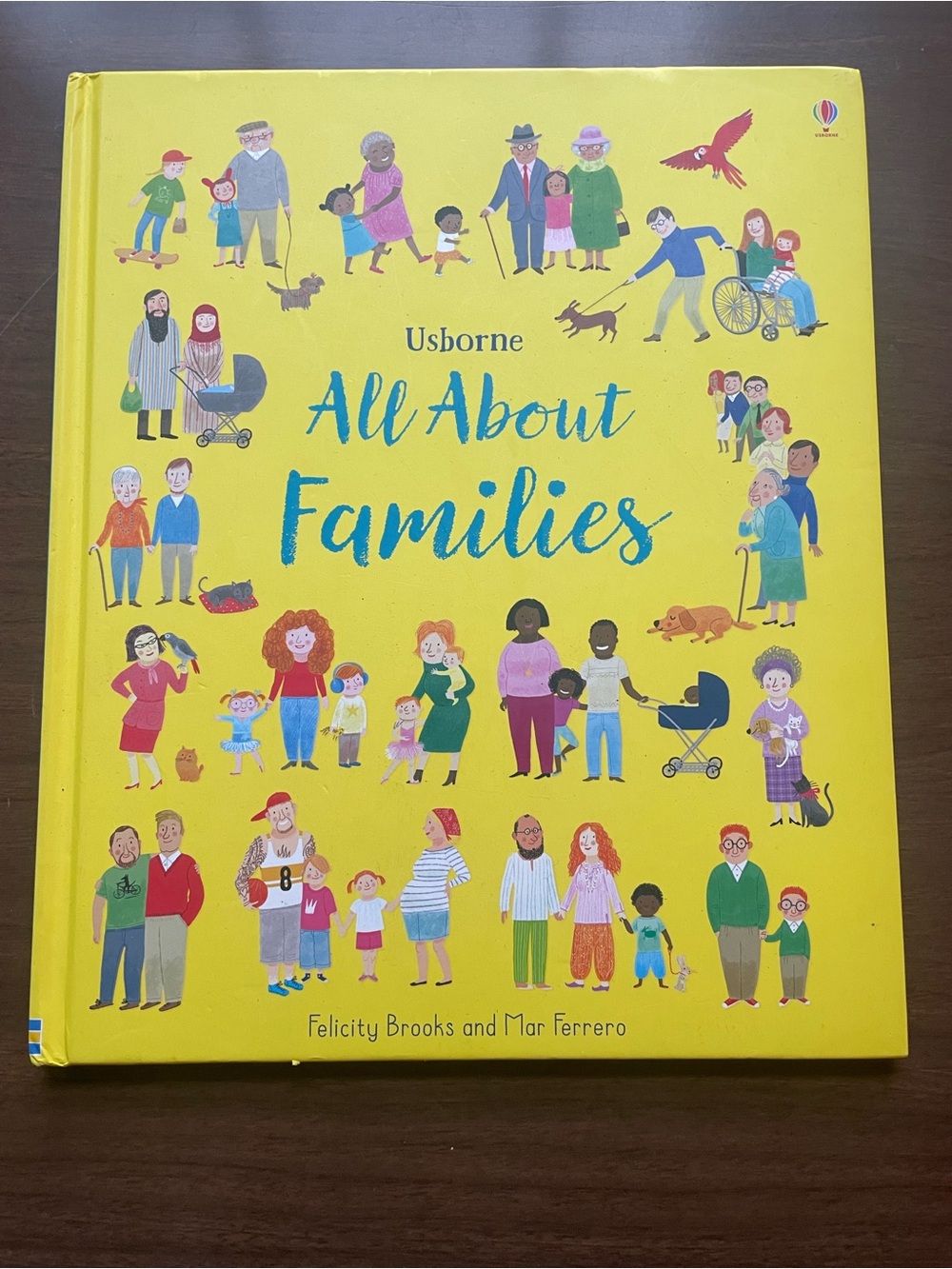 Usborne All About Families Book